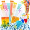351Pcs Disposable Summer Tableware Kit 50 Pcs Drink Pouches with 100 Straws 200 Pcs Ice Popsicle with A Funnel Reusable Stand Up Liquid Pouches Cockta