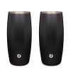 Stainless Steel Beer Glass Set, Set of 2 - Black