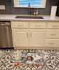 American English Coonhound The Chef Memory Foam Kitchen Mat Machine Washable Anti-Fatigue Mat Cushion Comfort Bath Mat or Kitchen Rug